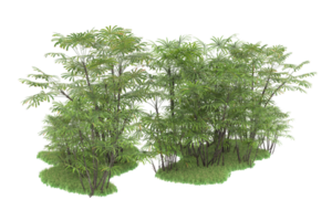 Realistic forest isolated on transparent background. 3d rendering - illustration png