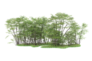 Realistic forest isolated on transparent background. 3d rendering - illustration png