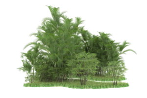 forêt réaliste isolée sur fond transparent. rendu 3d - illustration png