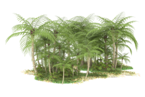 Realistic forest isolated on transparent background. 3d rendering - illustration png