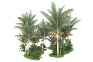 Realistic forest isolated on transparent background. 3d rendering - illustration png