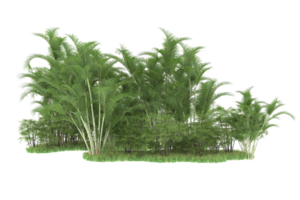 forêt réaliste isolée sur fond transparent. rendu 3d - illustration png