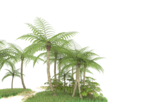 Realistic forest isolated on transparent background. 3d rendering - illustration png