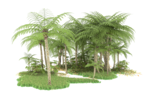 Realistic forest isolated on transparent background. 3d rendering - illustration png