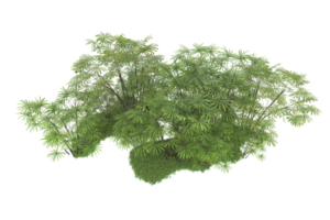 Realistic forest isolated on transparent background. 3d rendering - illustration png