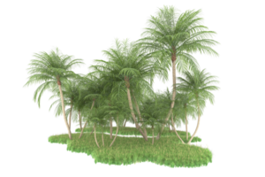 Realistic forest isolated on transparent background. 3d rendering - illustration png