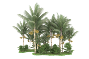 Realistic forest isolated on transparent background. 3d rendering - illustration png