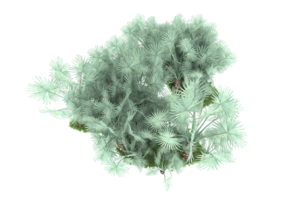 Realistic forest isolated on transparent background. 3d rendering - illustration png