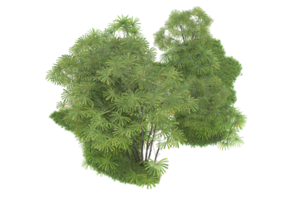Realistic forest isolated on transparent background. 3d rendering - illustration png