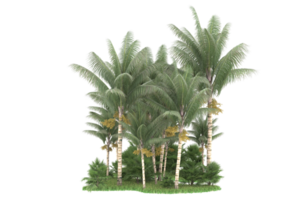 forêt réaliste isolée sur fond transparent. rendu 3d - illustration png