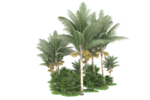 forêt réaliste isolée sur fond transparent. rendu 3d - illustration png