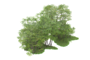 Realistic forest isolated on transparent background. 3d rendering - illustration png