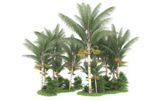 Realistic forest isolated on transparent background. 3d rendering - illustration png