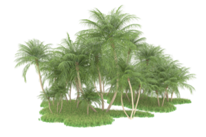 Realistic forest isolated on transparent background. 3d rendering - illustration png