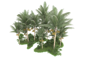 Realistic forest isolated on transparent background. 3d rendering - illustration png