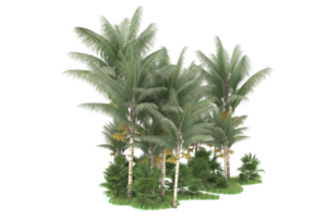 Realistic forest isolated on transparent background. 3d rendering - illustration png