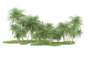 Realistic forest isolated on transparent background. 3d rendering - illustration png
