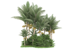 Realistic forest isolated on transparent background. 3d rendering - illustration png