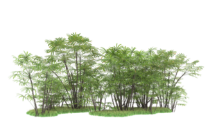 Realistic forest isolated on transparent background. 3d rendering - illustration png