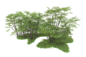 Realistic forest isolated on transparent background. 3d rendering - illustration png