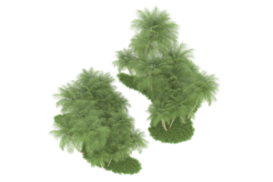 Realistic forest isolated on transparent background. 3d rendering - illustration png