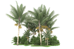 Realistic forest isolated on transparent background. 3d rendering - illustration png