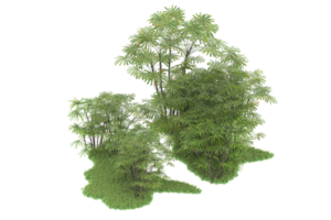 Realistic forest isolated on transparent background. 3d rendering - illustration png