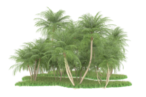 Realistic forest isolated on transparent background. 3d rendering - illustration png