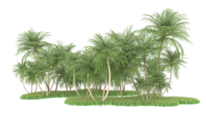 Realistic forest isolated on transparent background. 3d rendering - illustration png