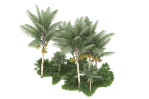 Realistic forest isolated on transparent background. 3d rendering - illustration png