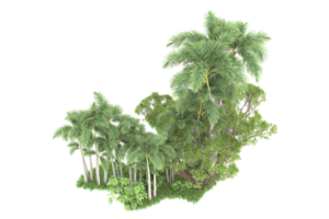 realistico foresta isolato su trasparente sfondo. 3d interpretazione - illustrazione png