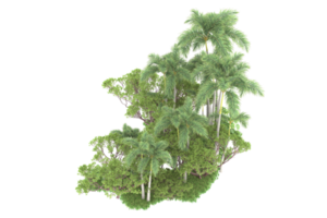 forêt réaliste isolée sur fond transparent. rendu 3d - illustration png