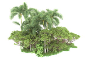 Realistic forest isolated on transparent background. 3d rendering - illustration png