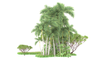 Realistic forest isolated on transparent background. 3d rendering - illustration png