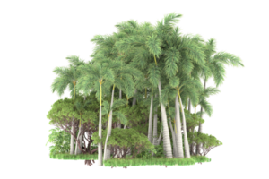 forêt réaliste isolée sur fond transparent. rendu 3d - illustration png