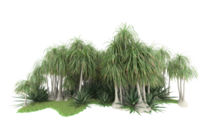 Realistic forest isolated on transparent background. 3d rendering - illustration png