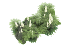 forêt réaliste isolée sur fond transparent. rendu 3d - illustration png