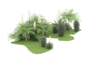 Realistic forest isolated on transparent background. 3d rendering - illustration png