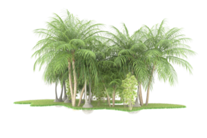 Realistic forest isolated on transparent background. 3d rendering - illustration png