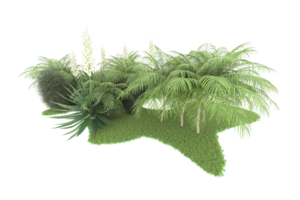 Realistic forest isolated on transparent background. 3d rendering - illustration png