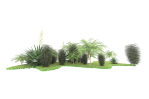 Realistic forest isolated on transparent background. 3d rendering - illustration png
