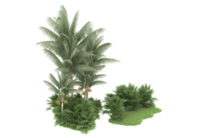 forêt réaliste isolée sur fond transparent. rendu 3d - illustration png