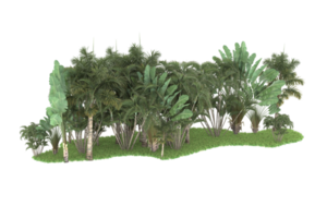 forêt réaliste isolée sur fond transparent. rendu 3d - illustration png