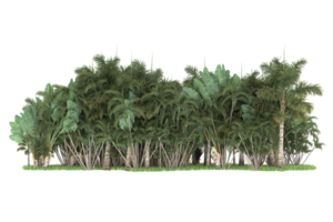 Realistic forest isolated on transparent background. 3d rendering - illustration png