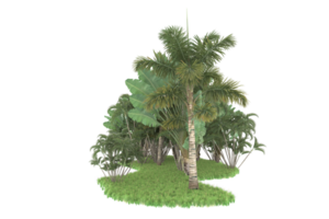 Realistic forest isolated on transparent background. 3d rendering - illustration png