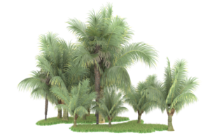 Realistic forest isolated on transparent background. 3d rendering - illustration png