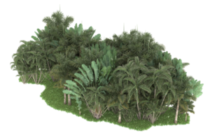 floresta realista isolada em fundo transparente. renderização 3D - ilustração png