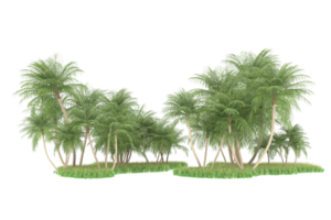 Realistic forest isolated on transparent background. 3d rendering - illustration png