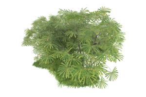 forêt réaliste isolée sur fond transparent. rendu 3d - illustration png