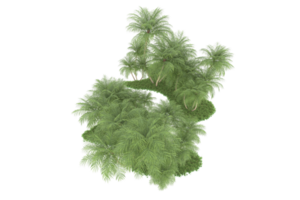 Realistic forest isolated on transparent background. 3d rendering - illustration png